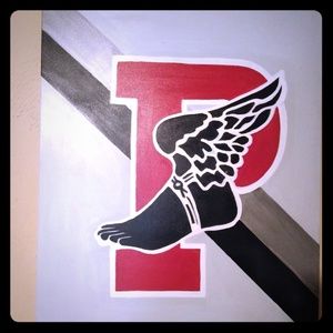 24x42 custom p-wing canvas